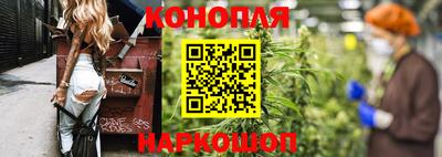 МДПВ Боровичи