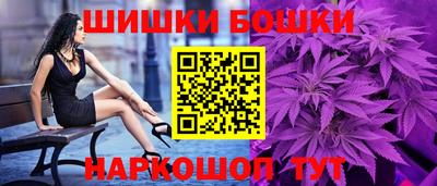 МДПВ Боровичи