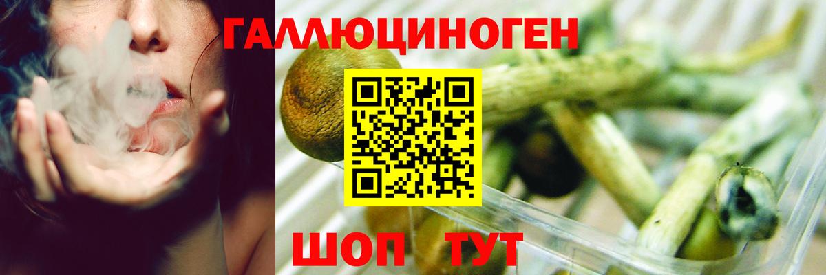 Галлюциногенные грибы Cubensis  Вход с VPN  где купить наркоту  Псилоцибиновые грибы GOLDEN TEACHER  Кимры 